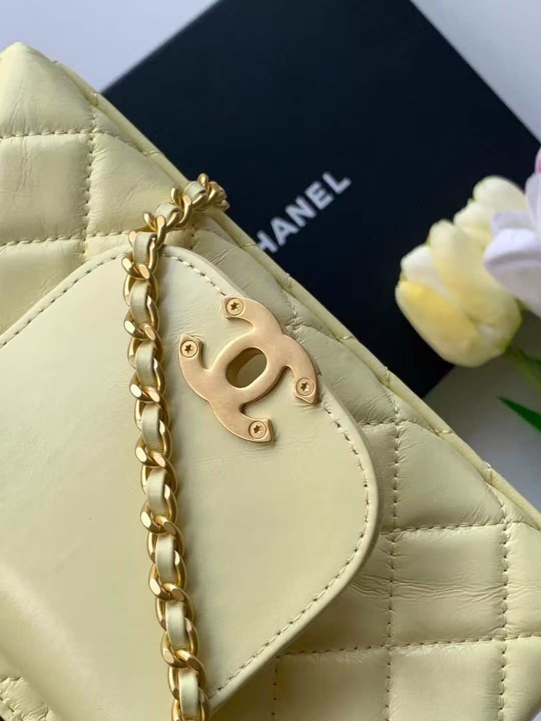 Ch*el Kelly 19x13x7cm