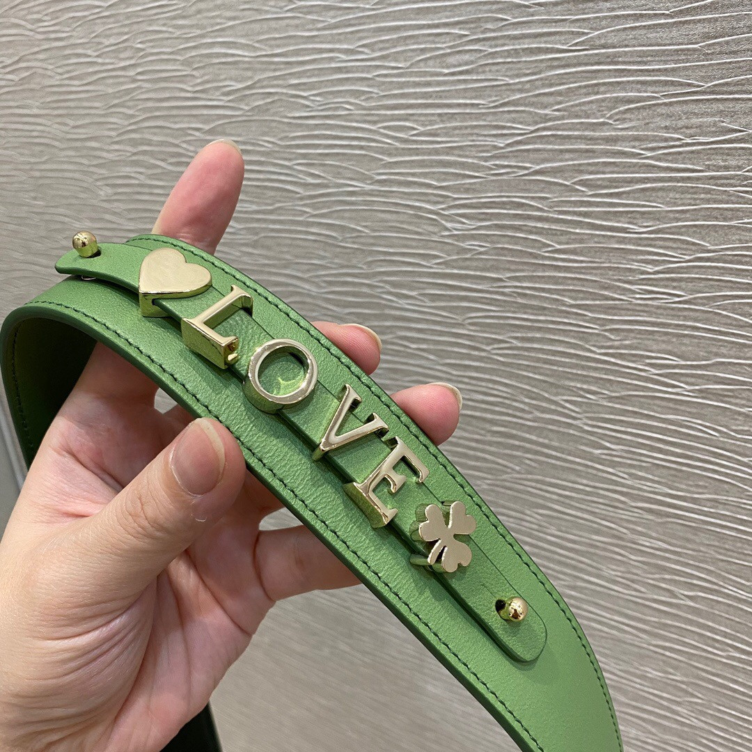 Small Lady D*0r Bag 8 x 6.5 x 3 inches