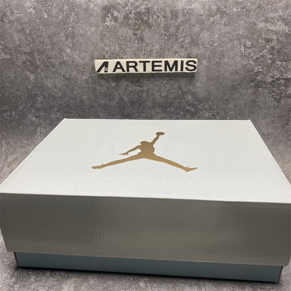 UA Air Jordan 6  Retro "Paris Olympics"