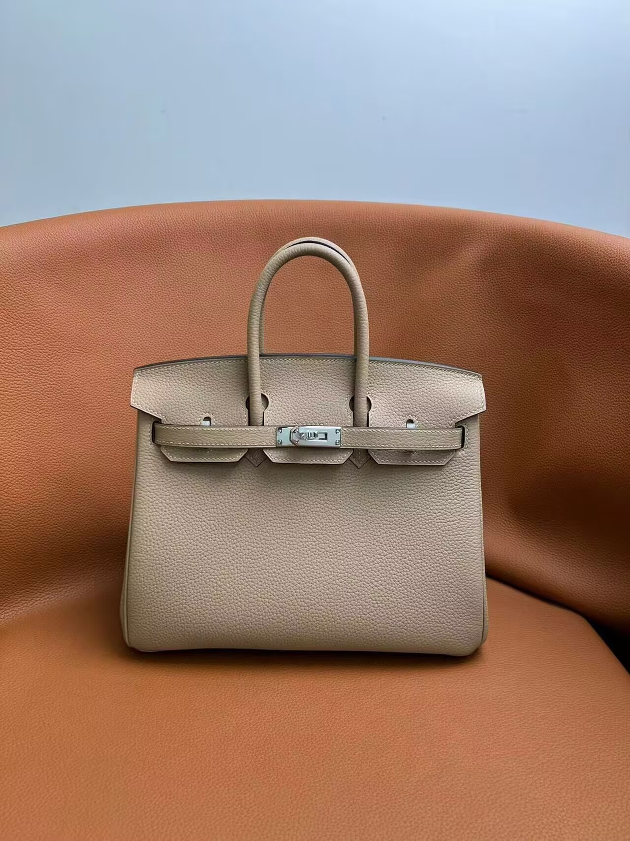 Hermès Birkin 25
