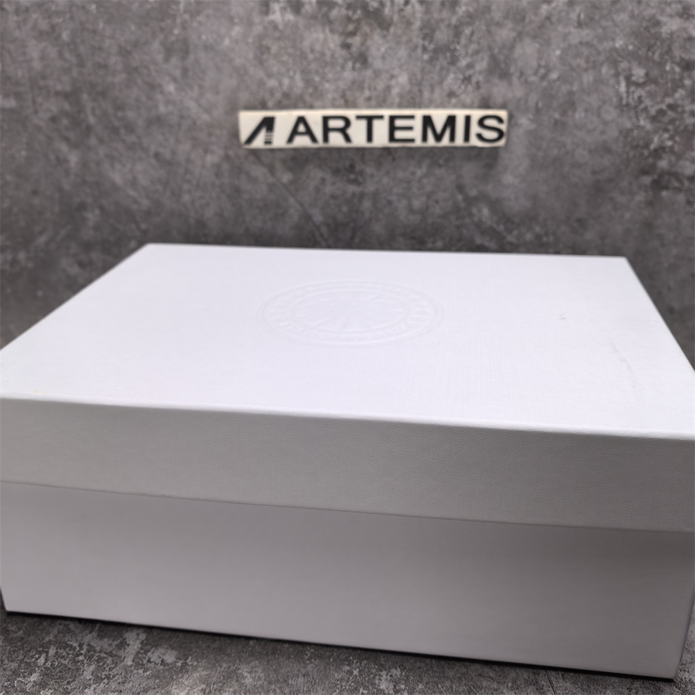 UA Can*a Go*e Glacier Trail Sneaker