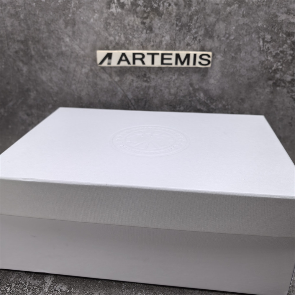 UA Can*a Go*e Glacier Trail Sneaker