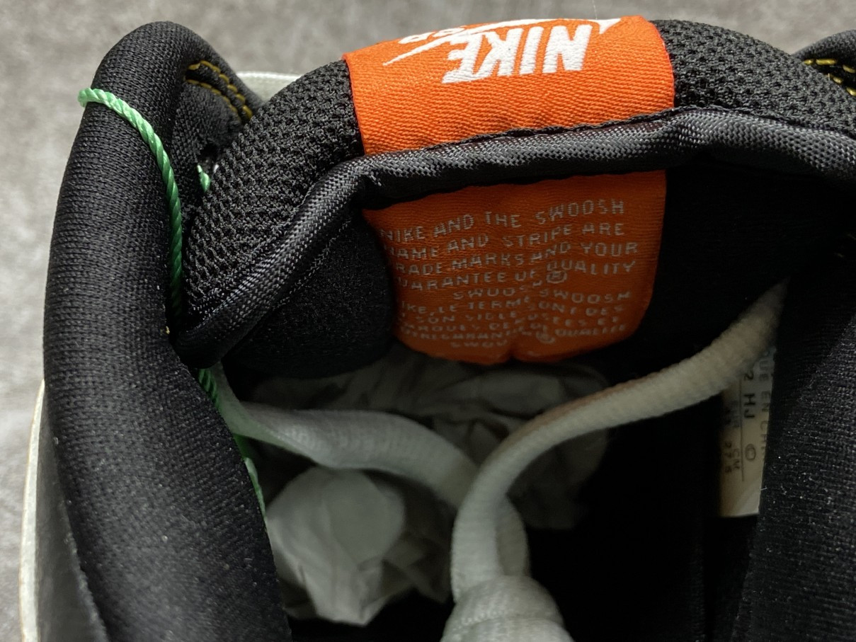 Nike Dunk SB Low Raygun