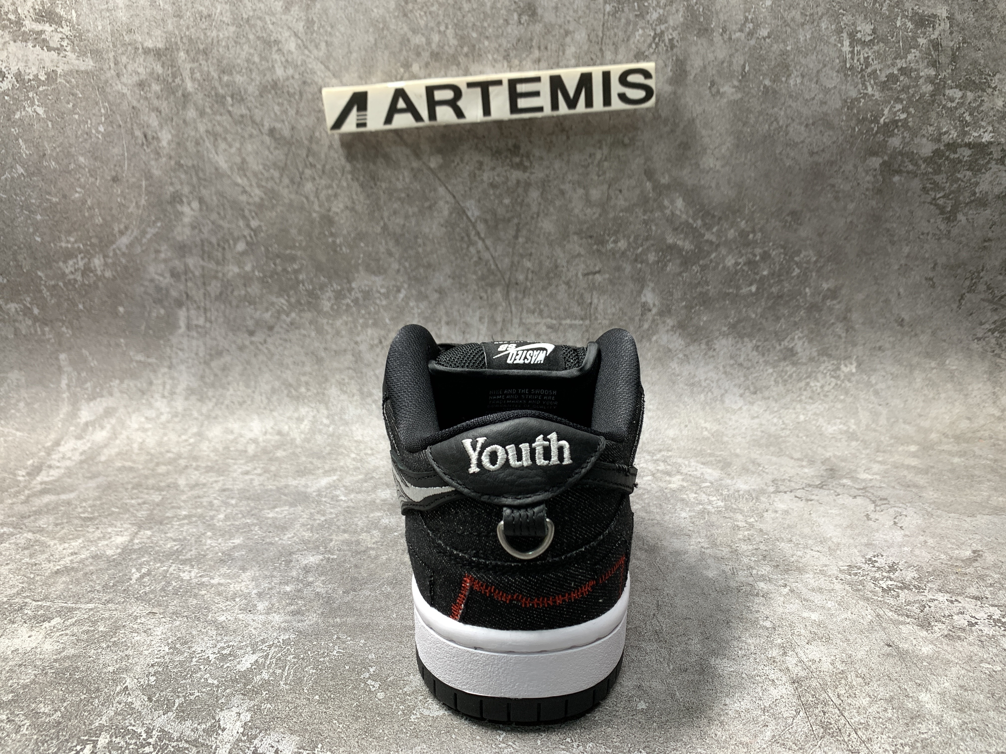 Nike SB Dunk Low Wasted Youth