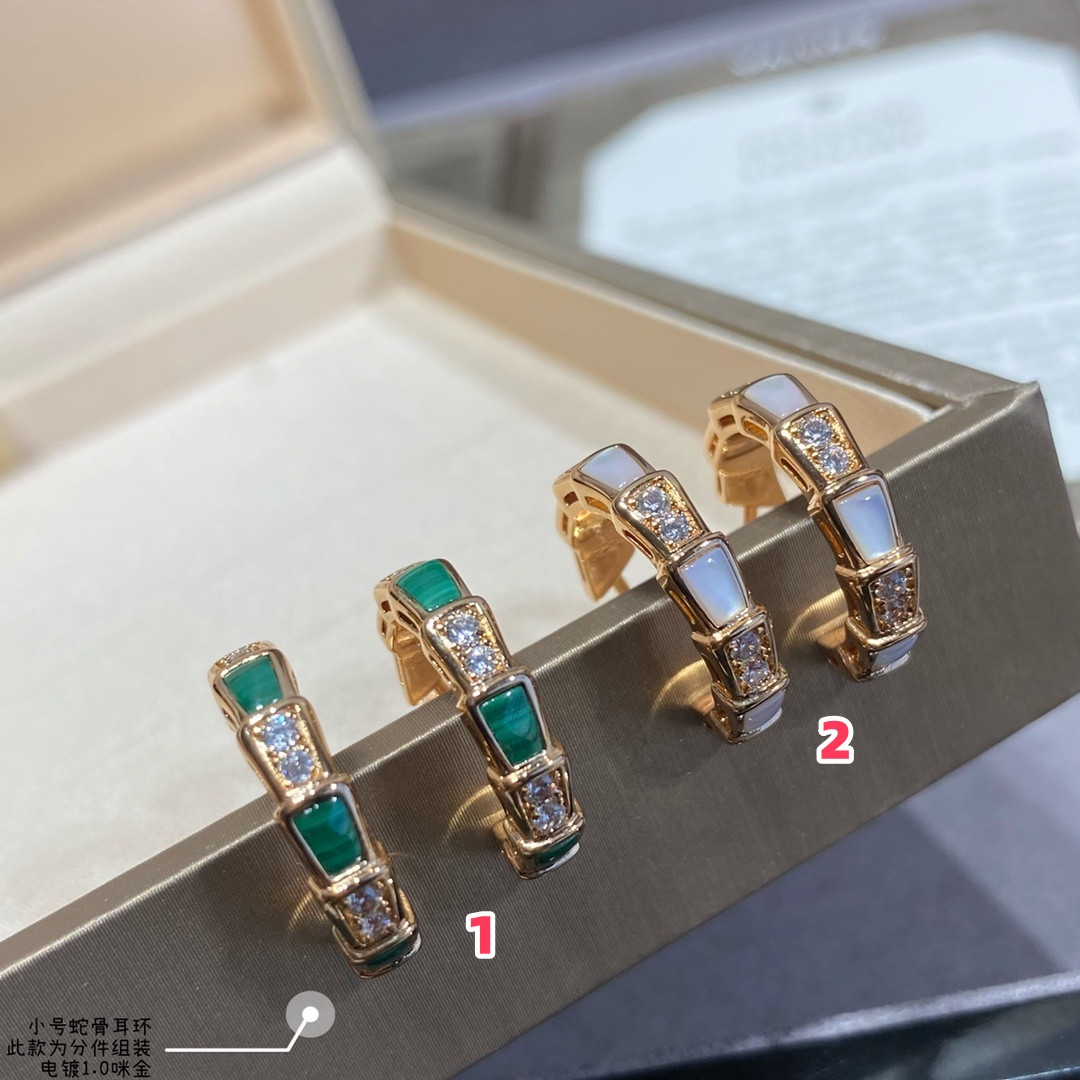 B*l*ai small Snake bone Earrings