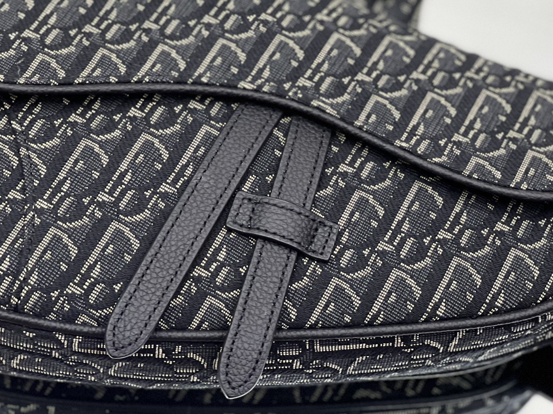 Ch**an D*0r Saddle Crossbody Bag Oblique Canvas 26 x 19 x 4.5 cm