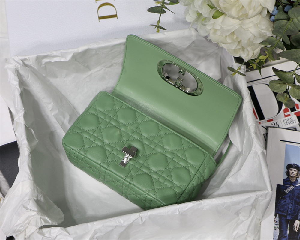 SMALL D*0r CARO BAG gREEN S*pple Cannage Calfskin With Silver Hardware 20 x 12 x 7 cm