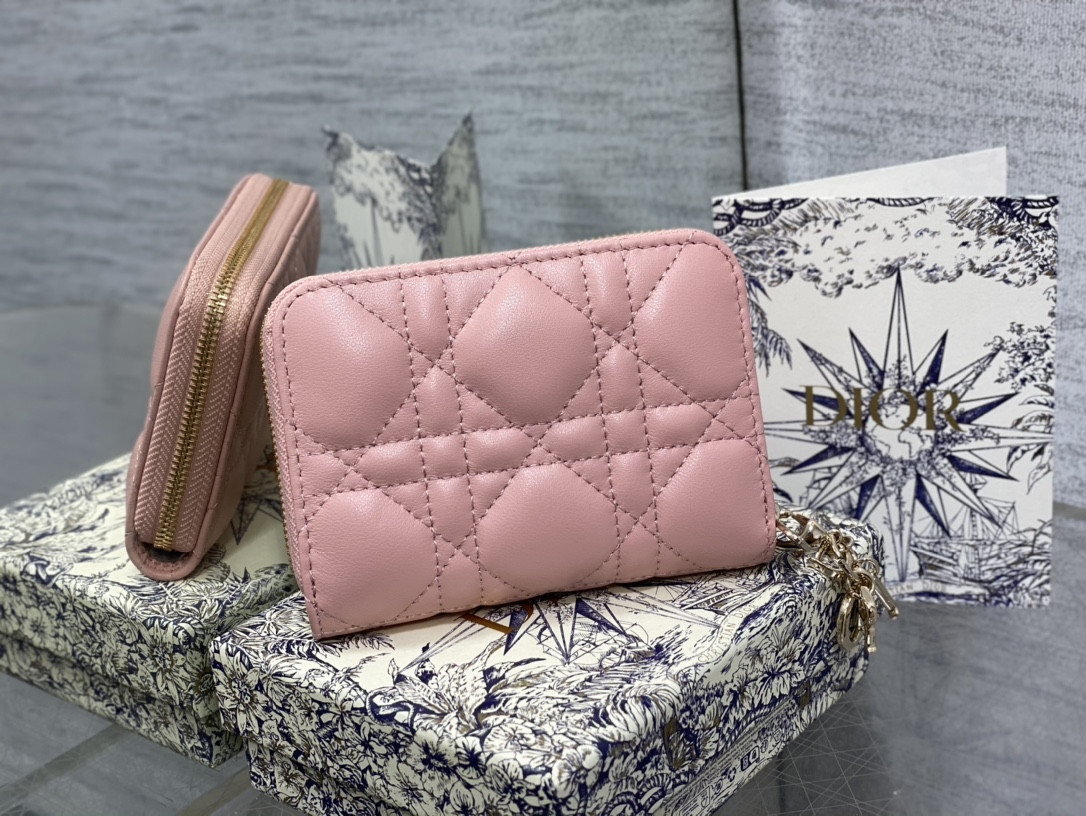 Lady D*0r Voyageur Small Coin Purse CARD HOLDER