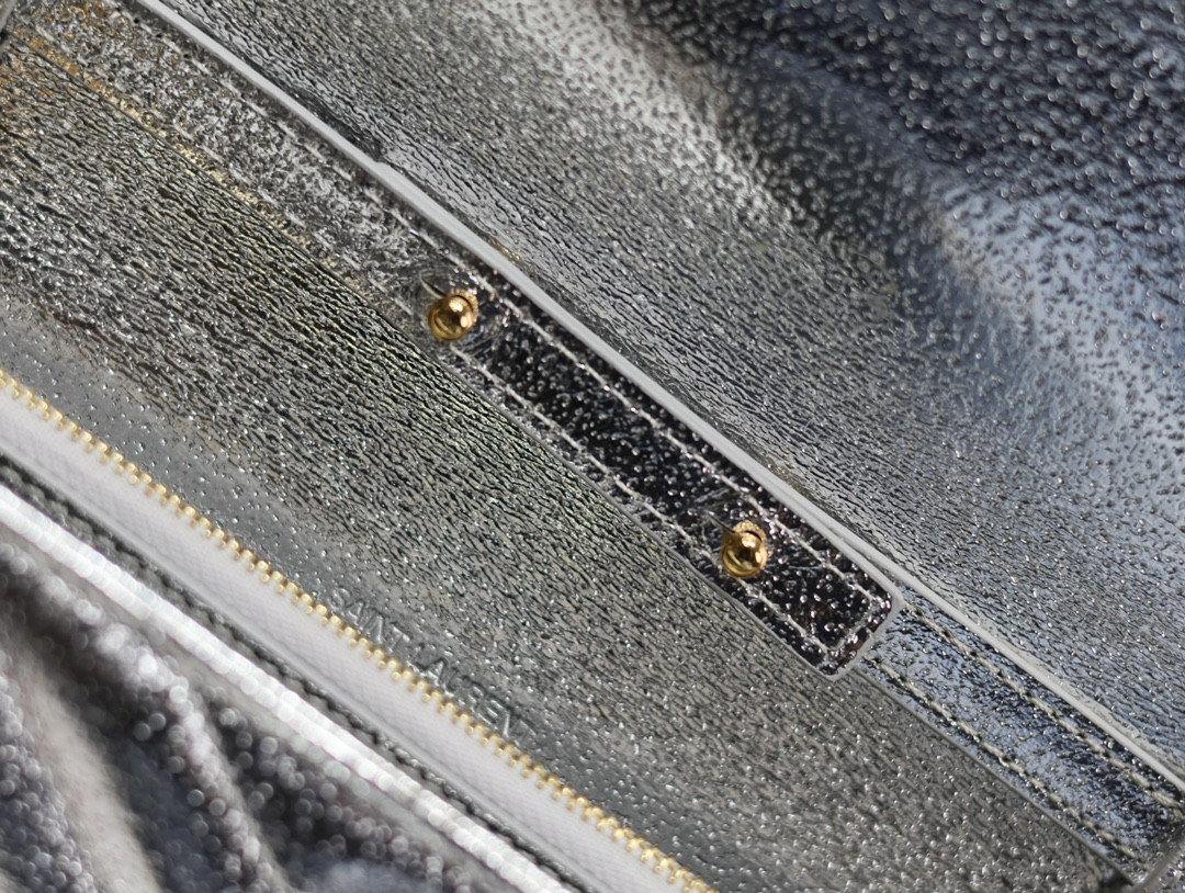 Y*L Cassandra Monogram Classic Chain Wallet  22.5 x 14 x 4cm