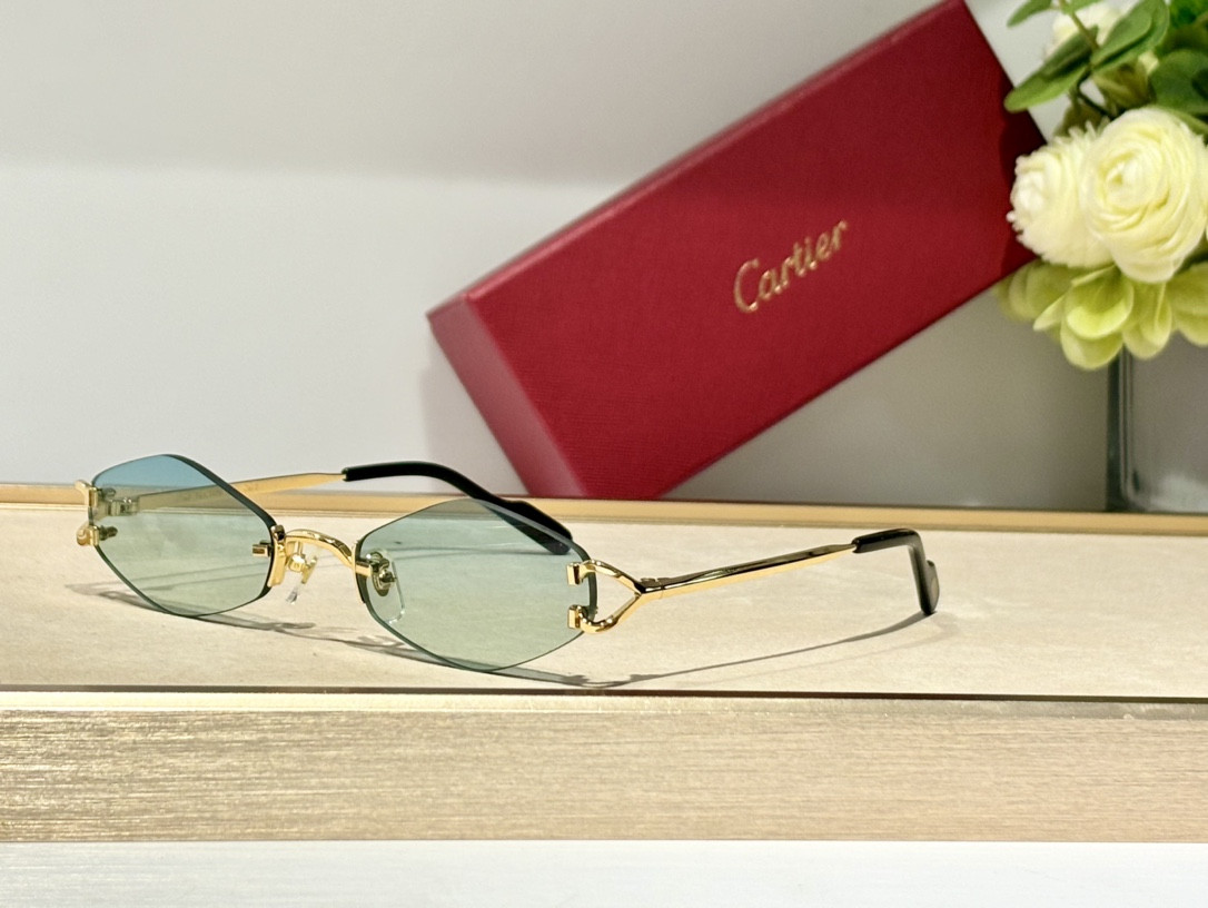 Ca*t*er Glasses CT8100359 48-20-140