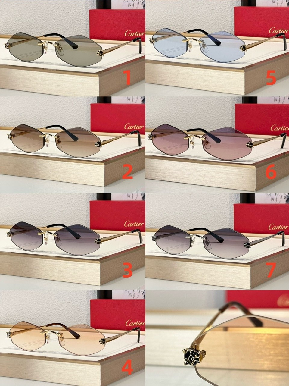 Ca*t*er Glasses CT0433S 55-20-140