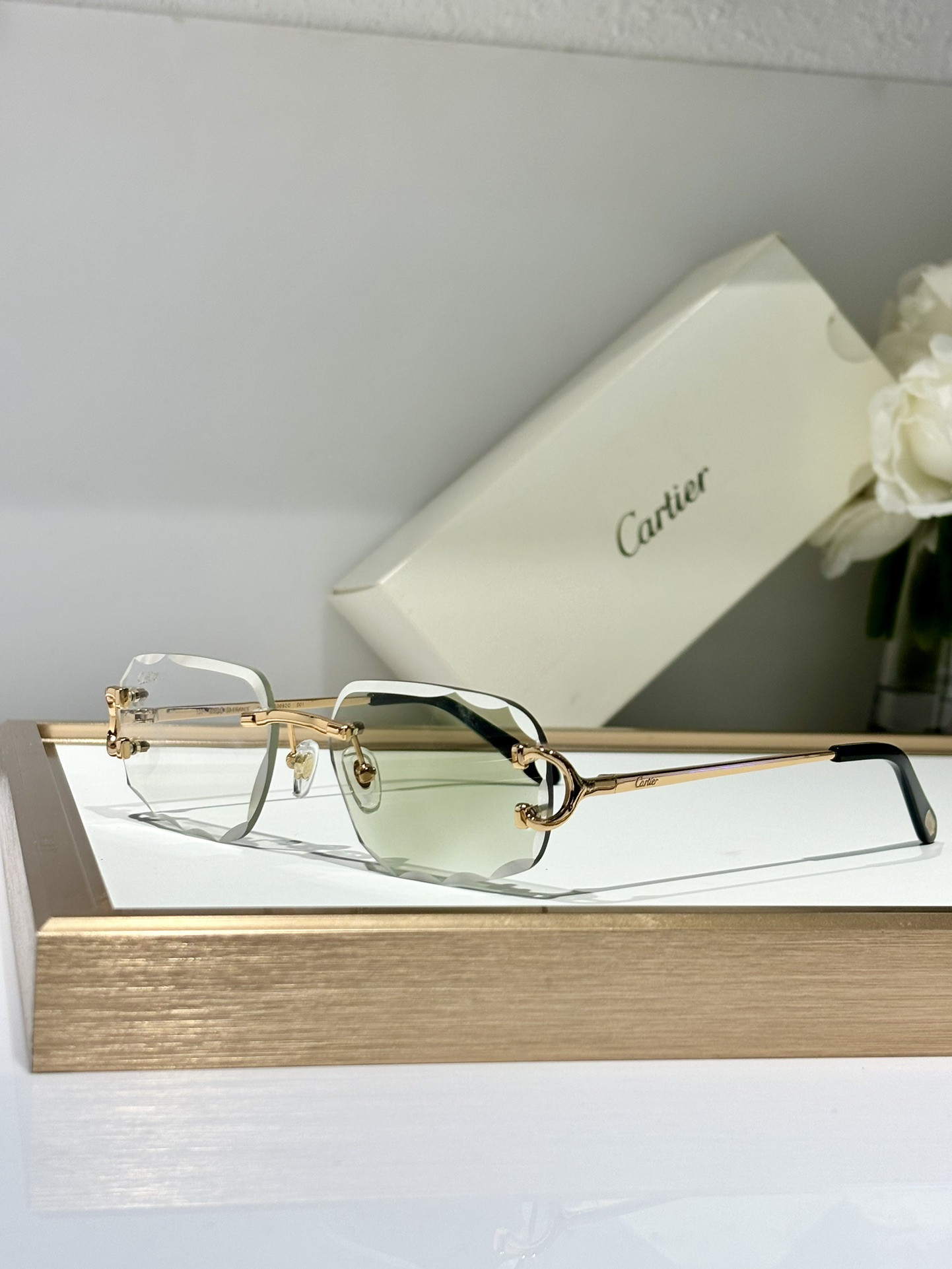 Ca*t*er Glasses Photochromic lenses CT0092 55-18-145