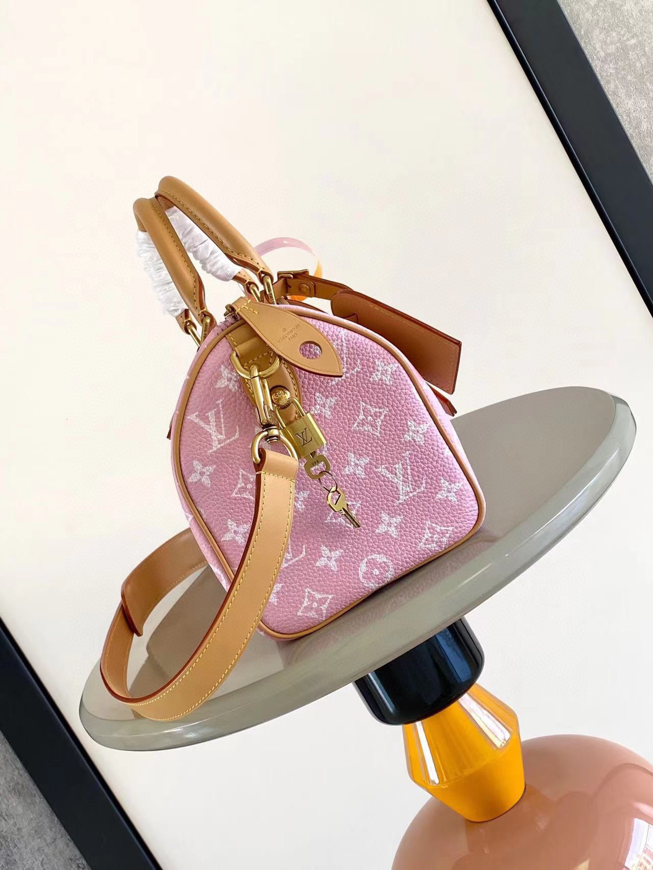 LV SPEEDY BANDOULIÈRE25 M24423